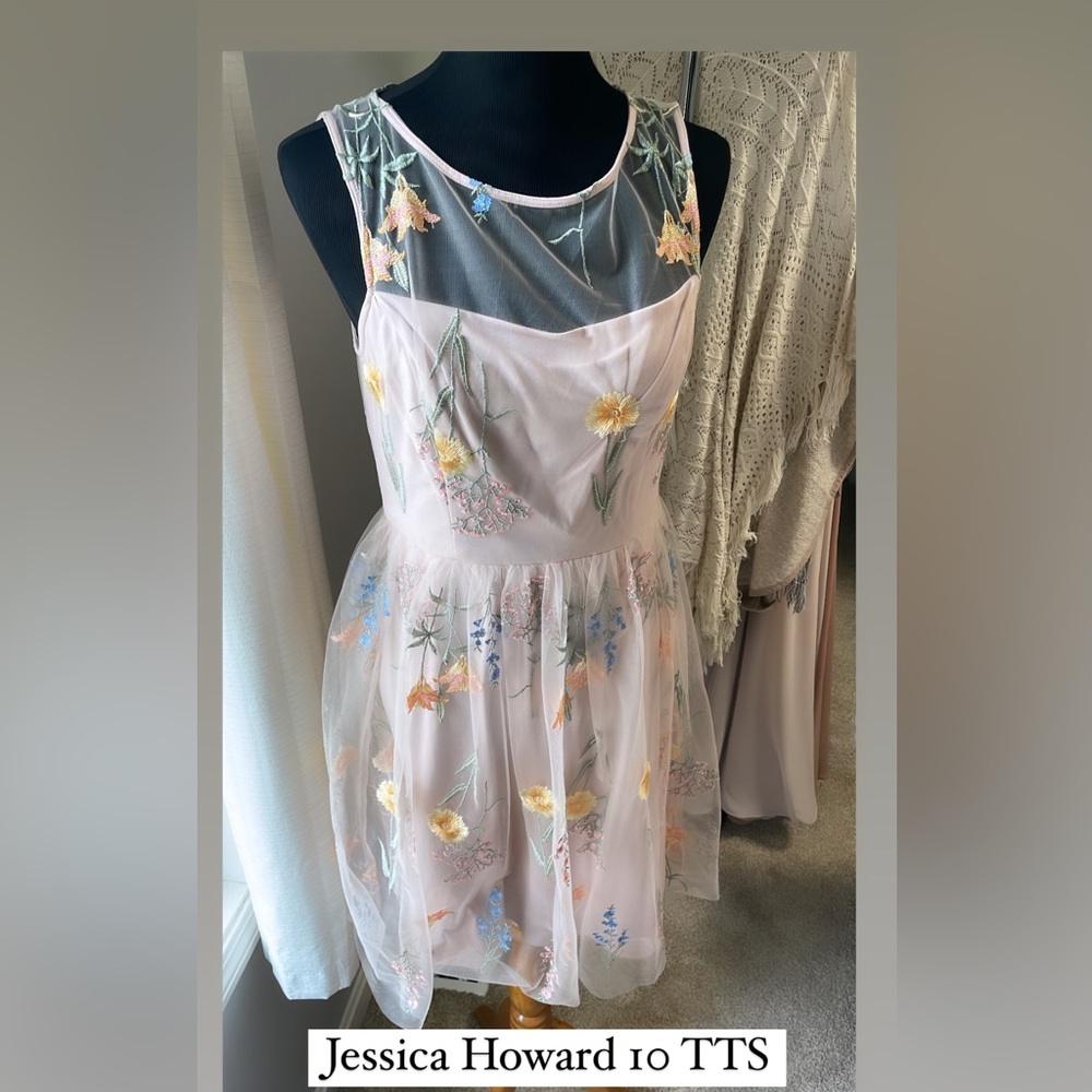 Pale pink flora dress sheer overlay